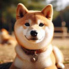 Profile picture for user Bearway