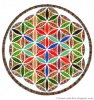 Profile picture for user cha2772